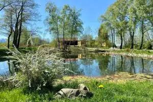 Schwimmteich